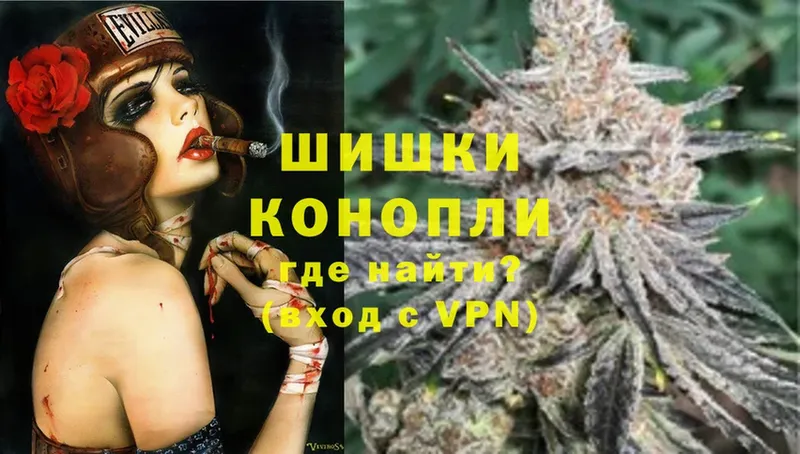 маркетплейс как зайти  цена наркотик  Жиздра  Марихуана SATIVA & INDICA 